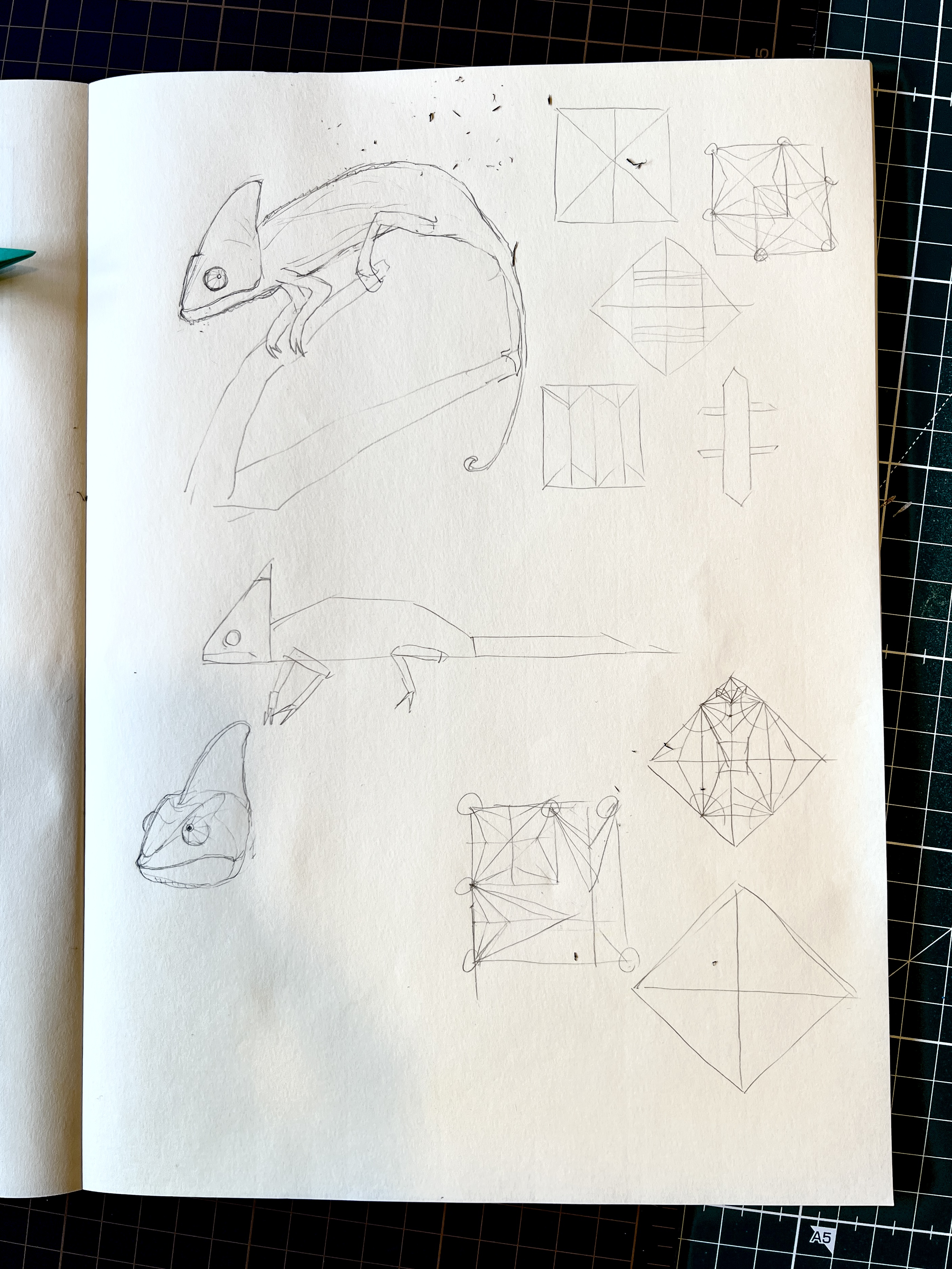 Chameleon Design note